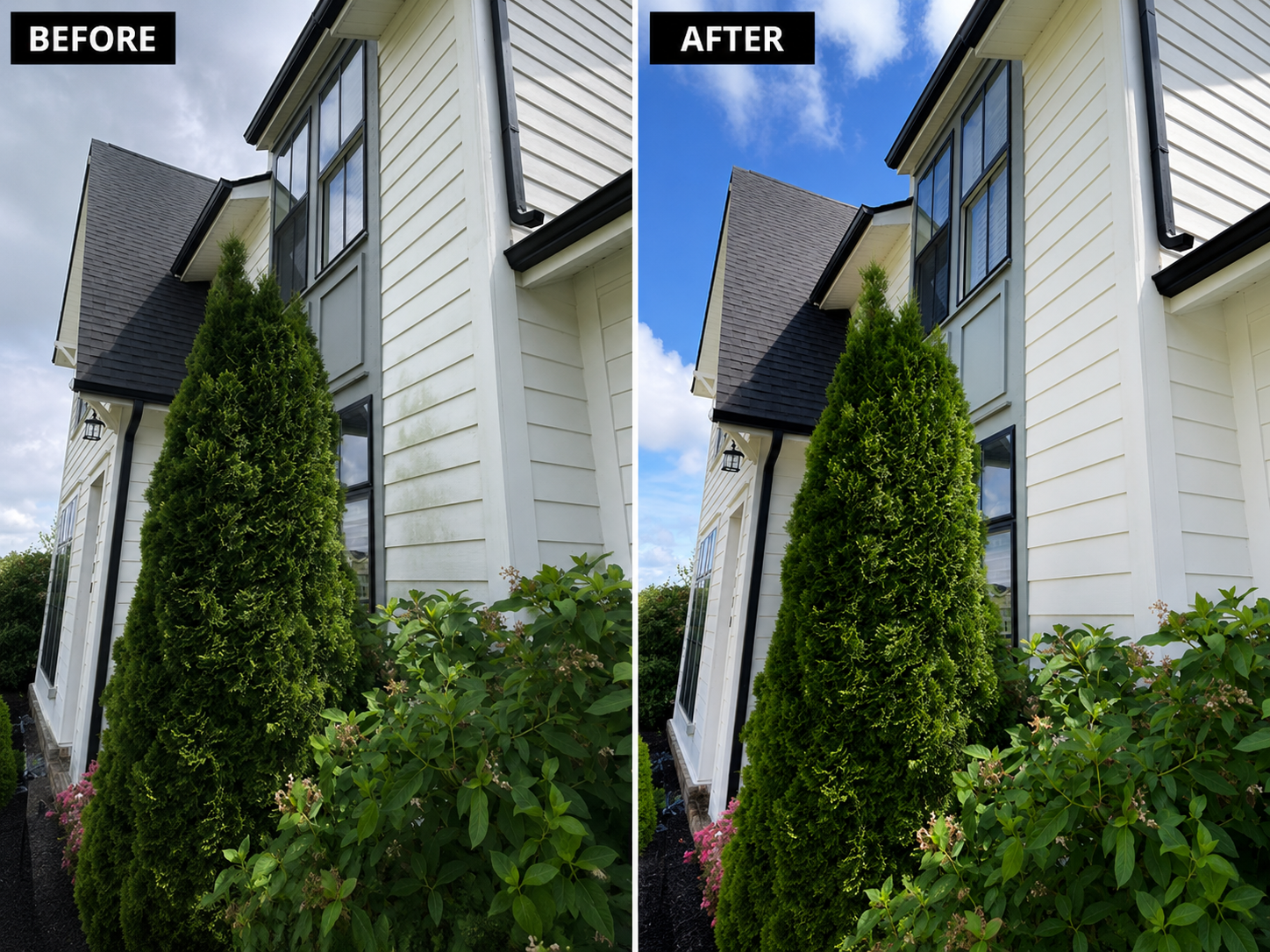 Before and after house wash result